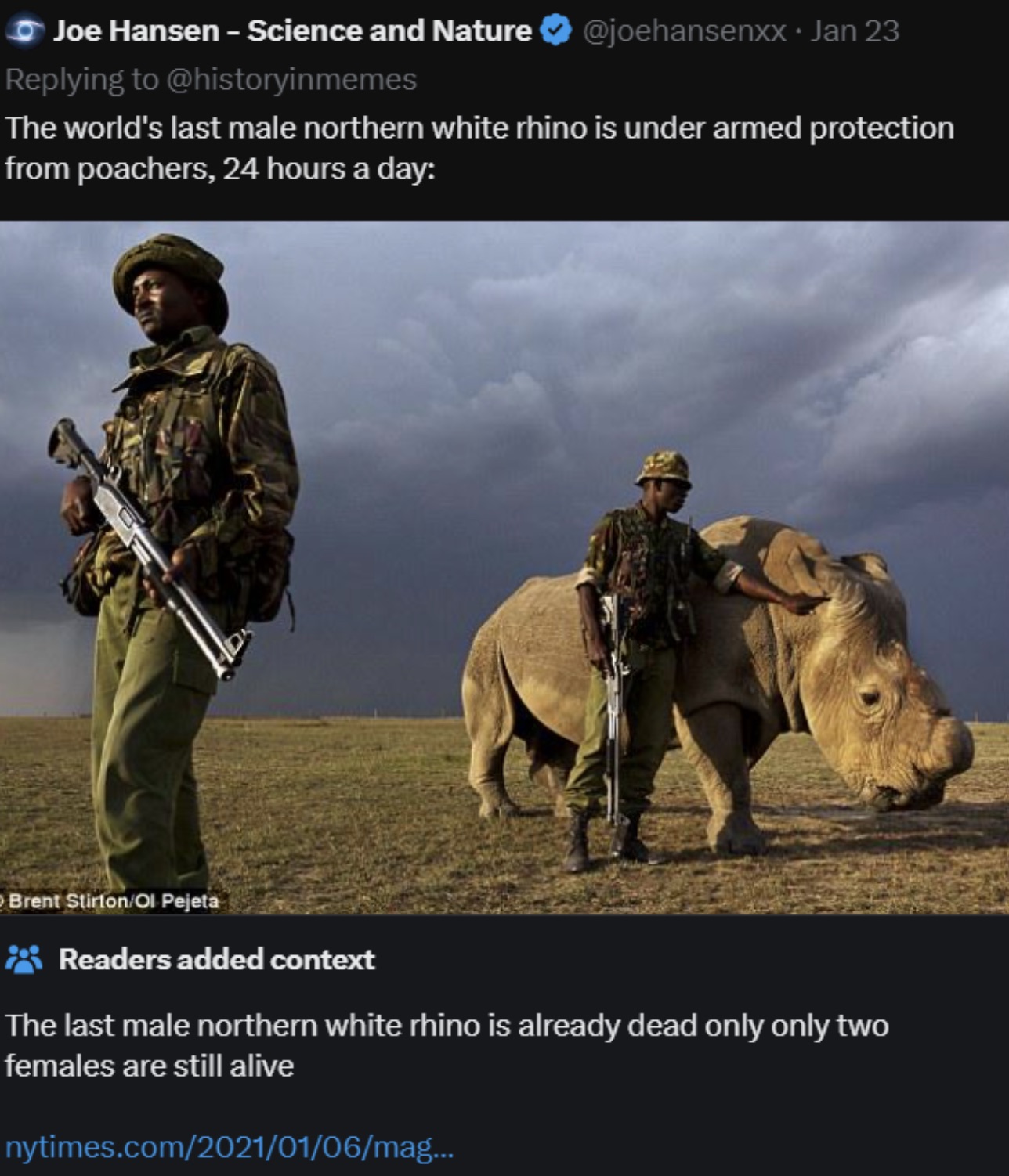 ol pejeta rangers - Joe Hansen Science and Nature Jan 23 The world's last male northern white rhino is under armed protection from poachers, 24 hours a day Brent StirtonOl Pejeta Readers added context The last male northern white rhino is already dead onl